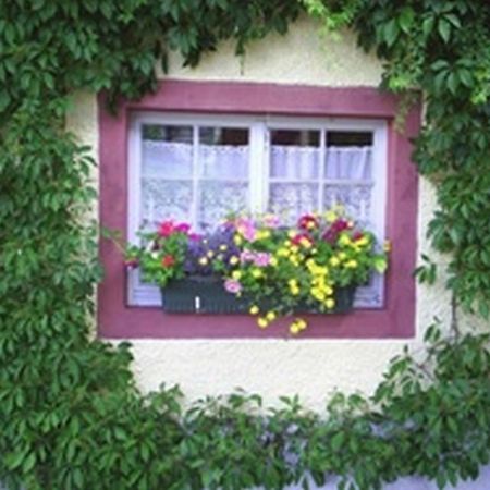 Pension Sonne Rickenbach  Kültér fotó