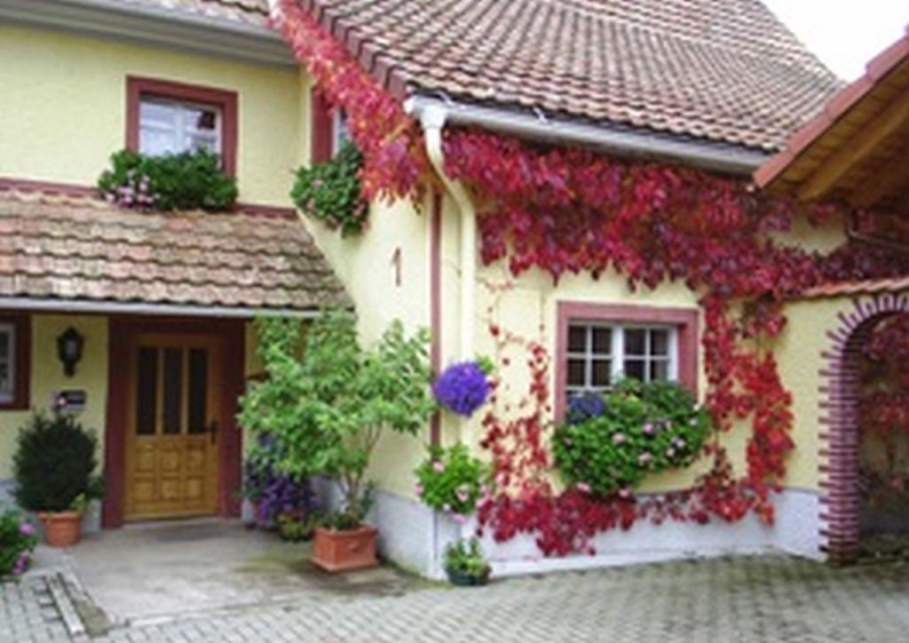 Pension Sonne Rickenbach  Kültér fotó